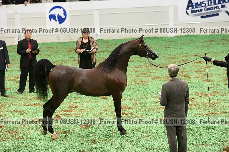 Proof 08usn-12308