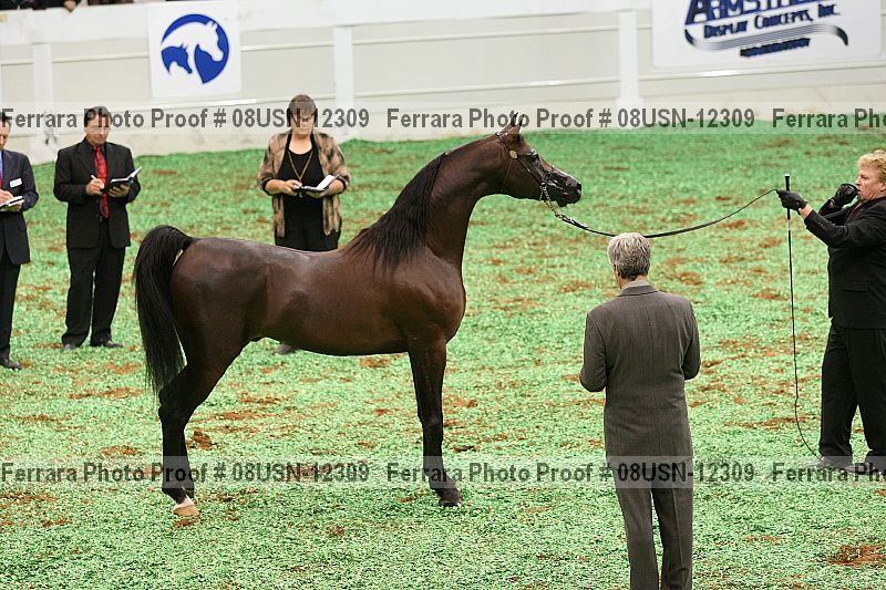 Proof 08usn-12309