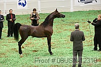 08usn-12310 proof