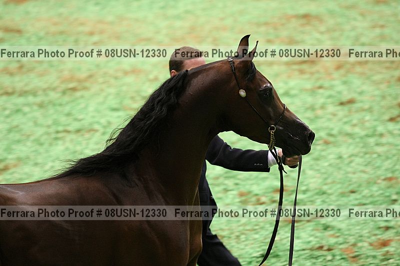 Proof 08usn-12330