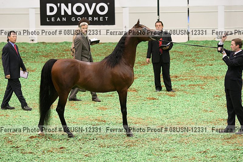 Proof 08usn-12331
