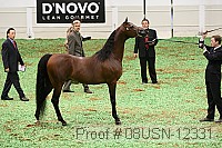 08usn-12331 proof