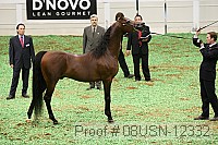 08usn-12332 proof