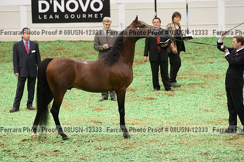 Proof 08usn-12333
