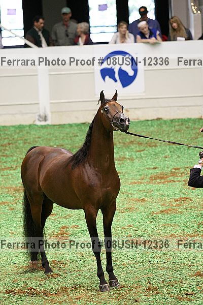 Proof 08usn-12336