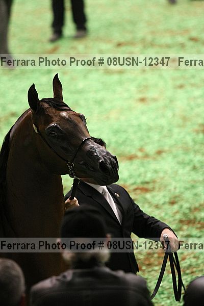 Proof 08usn-12347