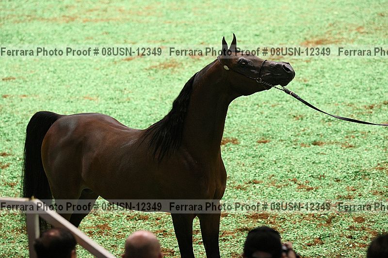 Proof 08usn-12349