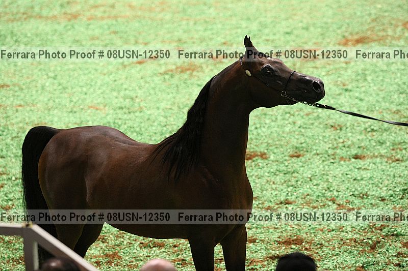 Proof 08usn-12350
