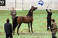 08usn-12353 proof