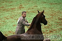 08usn-12366 proof