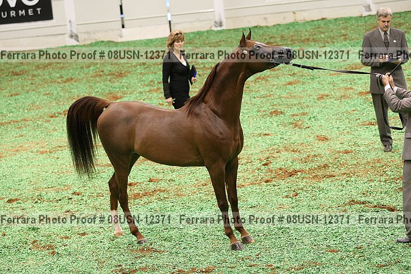 Proof 08usn-12371