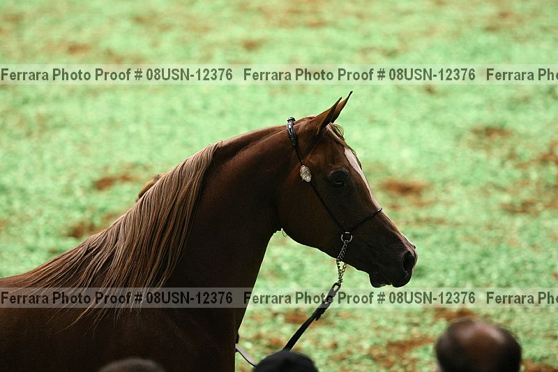 Proof 08usn-12376