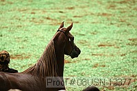 08usn-12377 proof