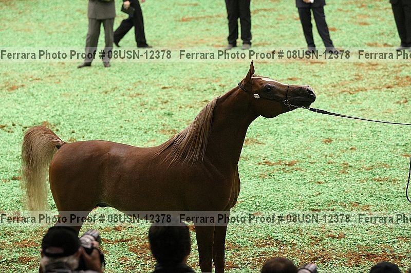 Proof 08usn-12378