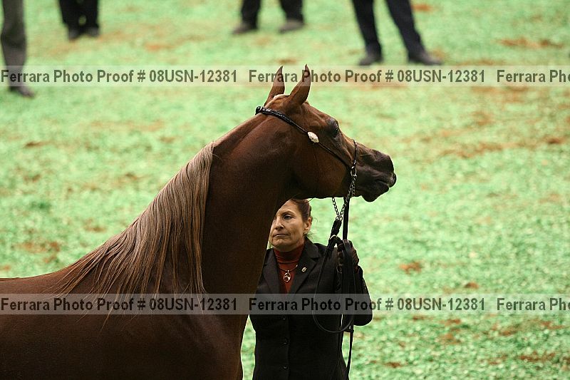 Proof 08usn-12381