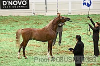 08usn-12383 proof
