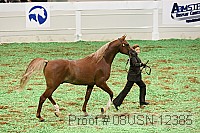 08usn-12385 proof
