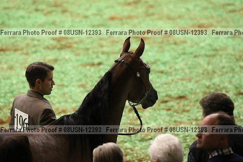 Proof 08usn-12393