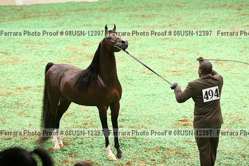 Proof 08usn-12397