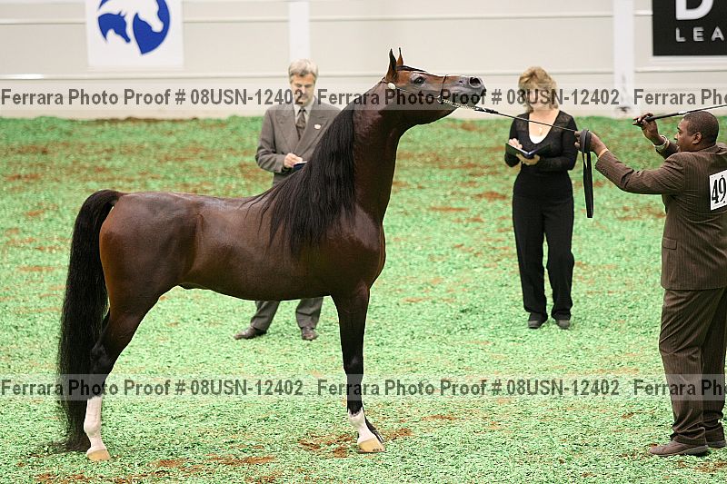 Proof 08usn-12402