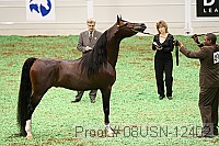 08usn-12402 proof