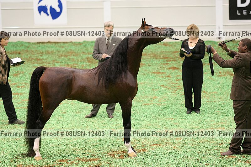 Proof 08usn-12403