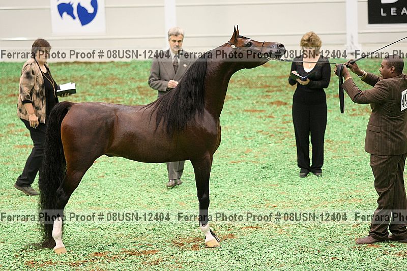 Proof 08usn-12404