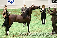 08usn-12404 proof