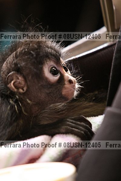 Proof 08usn-12405
