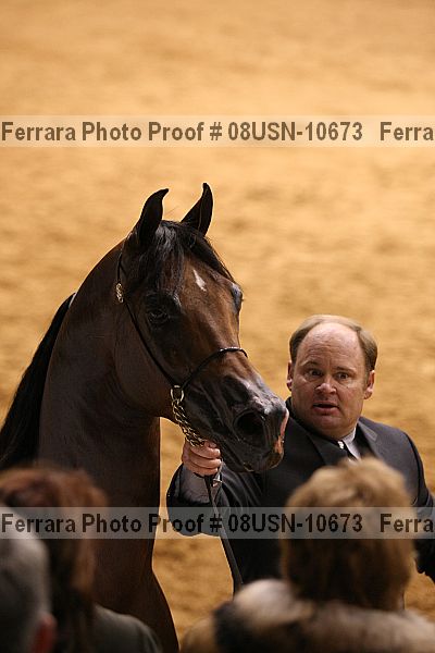 Proof 08usn-10673