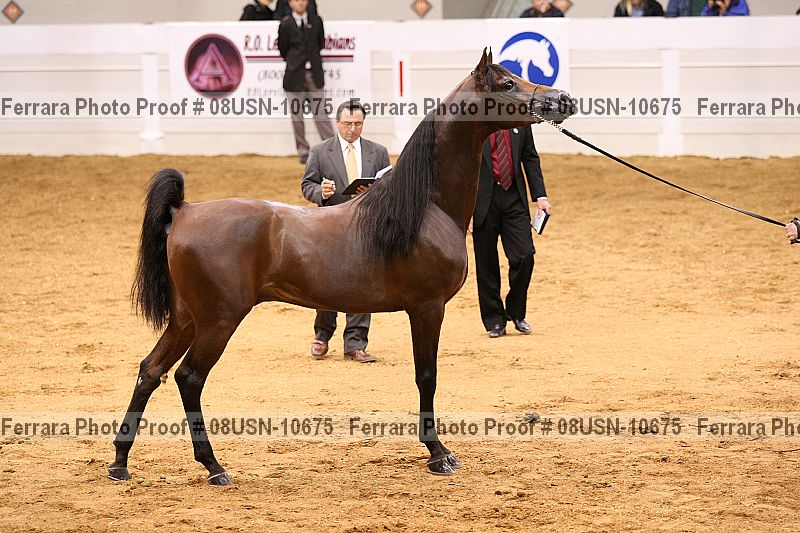 Proof 08usn-10675