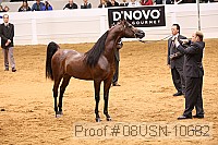 08usn-10682 proof