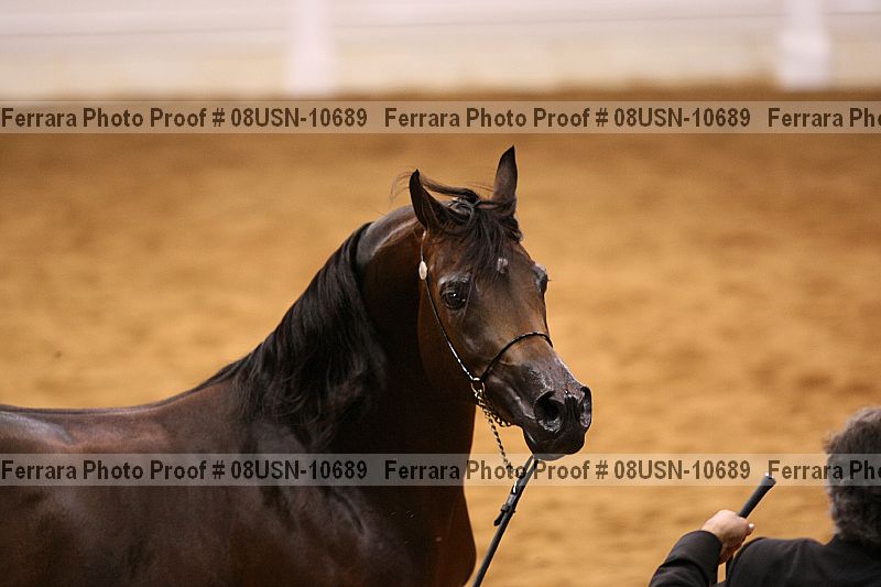 Proof 08usn-10689