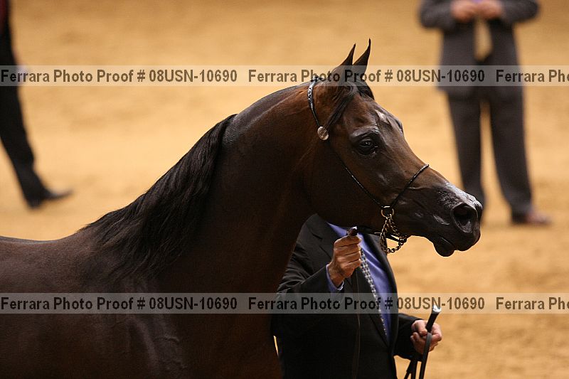 Proof 08usn-10690
