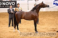 08usn-10699 proof