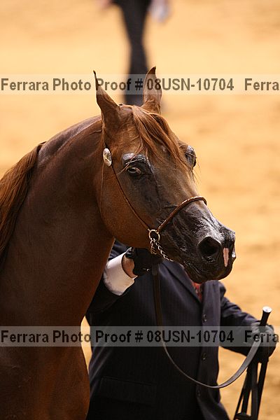 Proof 08usn-10704
