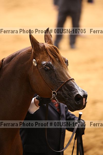 Proof 08usn-10705