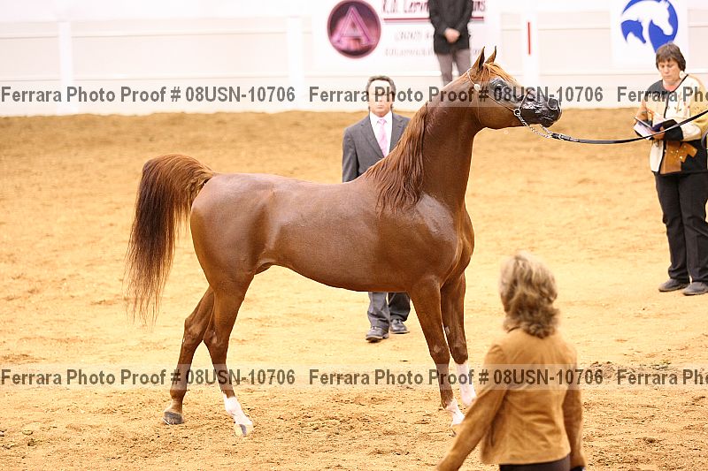 Proof 08usn-10706