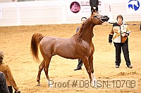 08usn-10708 proof