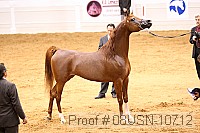 08usn-10712 proof