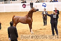 08usn-10714 proof