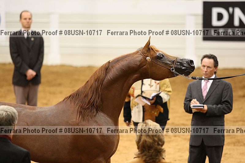 Proof 08usn-10717
