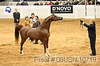08usn-10719 proof