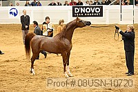 08usn-10720 proof
