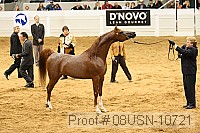 08usn-10721 proof