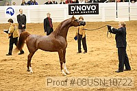 08usn-10722 proof
