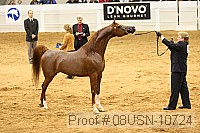 08usn-10724 proof