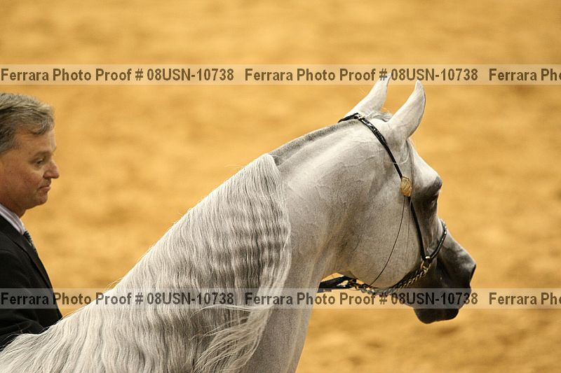 Proof 08usn-10738