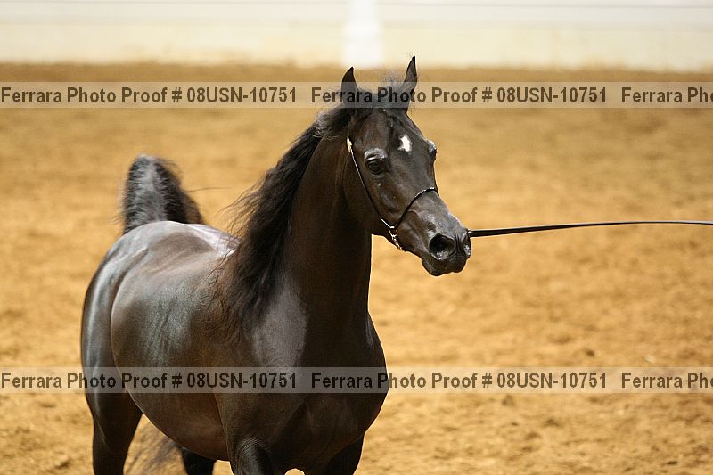 Proof 08usn-10751