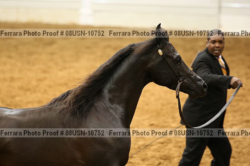 Proof 08usn-10752